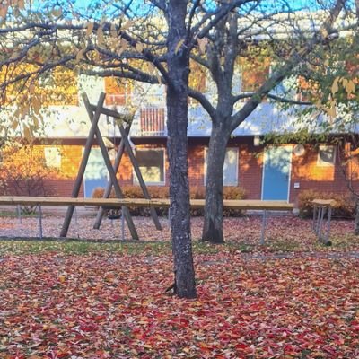 Mohamed68910866's profile picture. Bioactive man