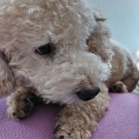 TSUNEHIRO (@tsunehiro_) 's Twitter Profile