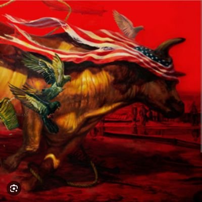 armandourzua1's profile picture. 