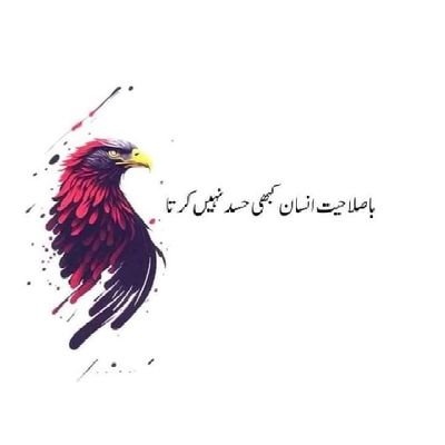 Haider_Haider_1's profile picture. 