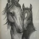 Starr Abbott Merkle - @starr47246 - Twitter