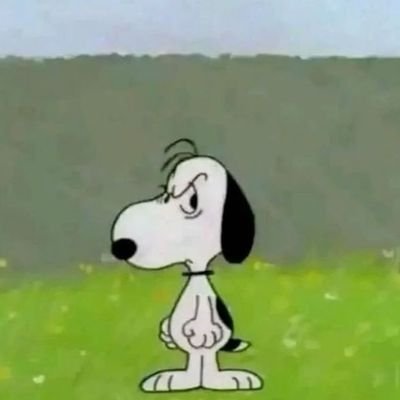 Cafecito_11's profile picture. Lvl:20↑|| Nunca sé que poner aquí ੯‧̀͡⬮