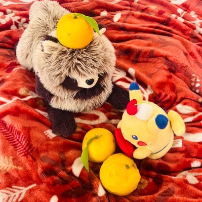 タッパー、空を飛ぶさんのプロフィール画像