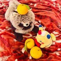 タッパー、空を飛ぶ (@4llin_tupper) 's Twitter Profile