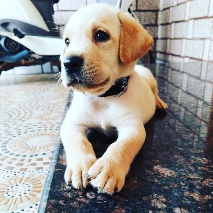 AdityaPatil62's profile picture. 