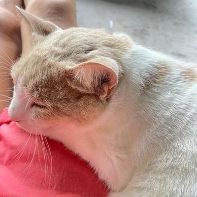 HuiRives's profile picture. 