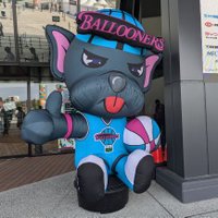 ちょこバル🏀 (@emi202434) 's Twitter Profile