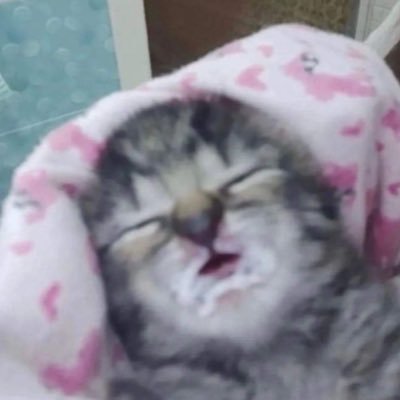 grubiczka's profile picture. odinstalowalam league of legends