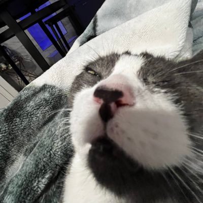 HayZues22's profile picture. 