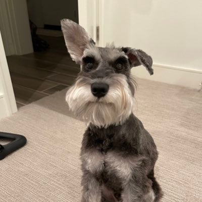 optimusp517's profile picture. Youtuber, Vlogger, Sneaker Junkie, Foodie!