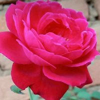 Shatrughan Sahu (@shubhisahu04437) 's Twitter Profile Photo Shatrughan Sahu (@shubhisahu04437) 's Twitter Profile Photo