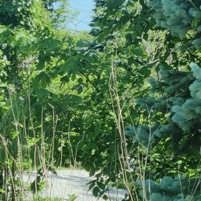 I_singh13's profile picture. everything possible in life .if u think positive.