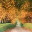 teri mcgee - @catlinargon - Twitter