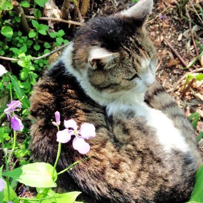 みまさんのプロフィール画像