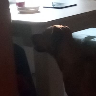 hero_jakob's profile picture. Follow me danke Kommentare schreiben und liken und es immer wieder manchmal anzugucken zu können