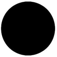 What Have We Done 🟧 ✊🏼 (@thenightbreak) 's Twitter Profile
