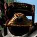 Chill Cursed Chronicles (@chill_cursed) Twitter profile photo