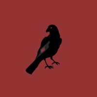 anko🐦⬛ (@ank_s) 's Twitter Profile Photo anko🐦⬛ (@ank_s) 's Twitter Profile Photo