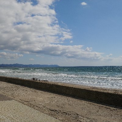 722suruka7's profile picture. 悩んでばかりです。