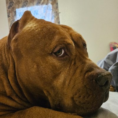 Shannon27246296's profile picture. 