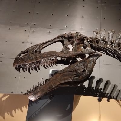 Ikiado_musen's profile picture. それはまさしく終末だった。星の理は乱れ、獣が命を喰い荒らす。

https://t.co/4t1YnuBWO5