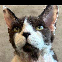 ☮️💧News-reader (@mswyuna) 's Twitter Profile