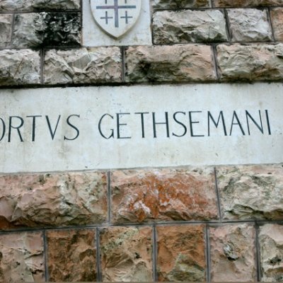 judy_white96113's profile picture. 