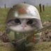 combiflam (@mi1fslayer) Twitter profile photo combiflam (@mi1fslayer) Twitter profile photo