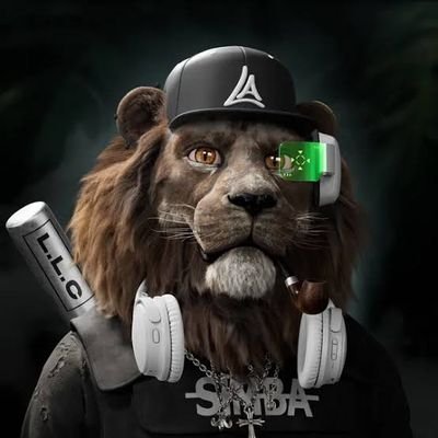Leo π¦ (Γ,G) Profile