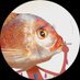 mind game on dvd (@intrydr) Twitter profile photo mind game on dvd (@intrydr) Twitter profile photo