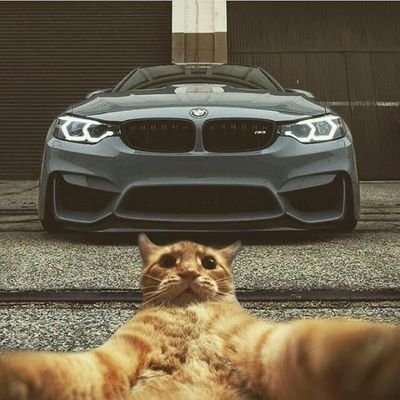 NrgNiks's profile picture. computer enthusiast, and I watch a lot of TV series/films, Favorite game Apex Legends,Cs2,Cyberpunk 2077 but I play everything