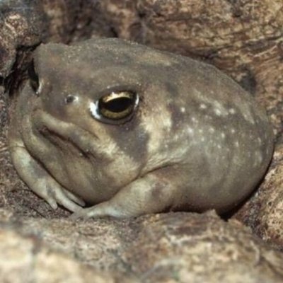 s6ixxsell's profile picture. A Libertarian, tired of the world and the people running it.