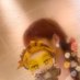 ゆうか (@yuuka83) Twitter profile photo ゆうか (@yuuka83) Twitter profile photo