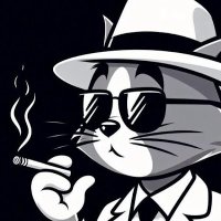 Tom Memes (@tommemesoficial) 's Twitter Profile