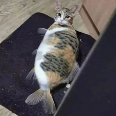 Koru_81's profile picture. 