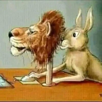 QaisTheologys's profile picture. 