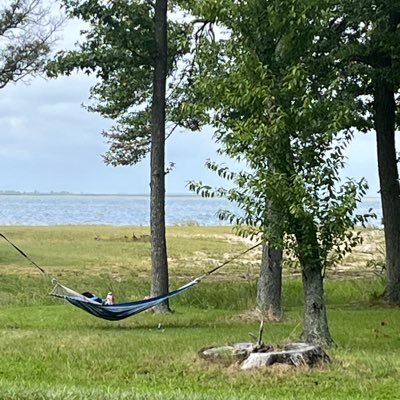 Saylboat3's profile picture. 