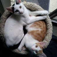 DLB2022__ (@dlb2022__) 's Twitter Profile Photo