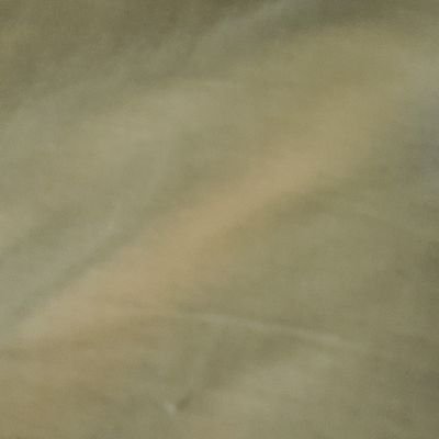 mahomane_s's profile picture. political something something