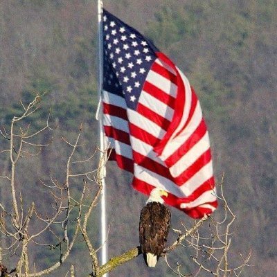 TedNels45721670's profile picture. 