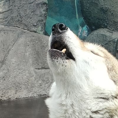 Majuri_069's profile picture. 