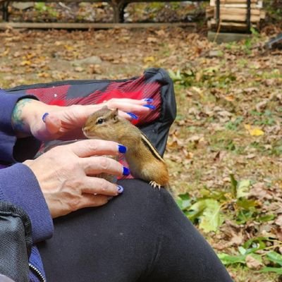 TrumpGirl71's profile picture. Stuck in Communist Connecticut and fighting to get out!

Thanks to the best President, @realdonaldtrump, this country has ever had, the Golden Age has begun!