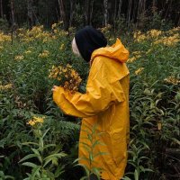 adeline (@adeldecwins) 's Twitter Profile