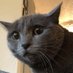 Opera (@ohhpera on Twitch!) (@awwpera) Twitter profile photo Opera (@ohhpera on Twitch!) (@awwpera) Twitter profile photo