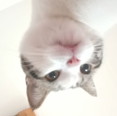 Gerdaさんのプロフィール画像