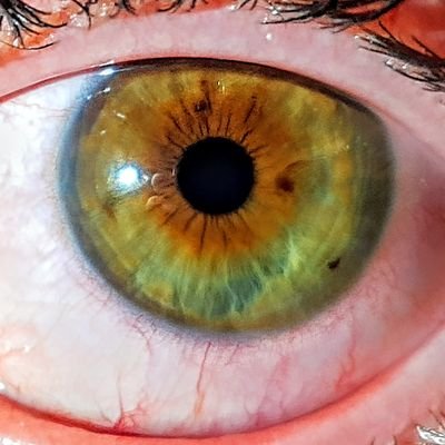 HeraSwallow111's profile picture. configurada mal