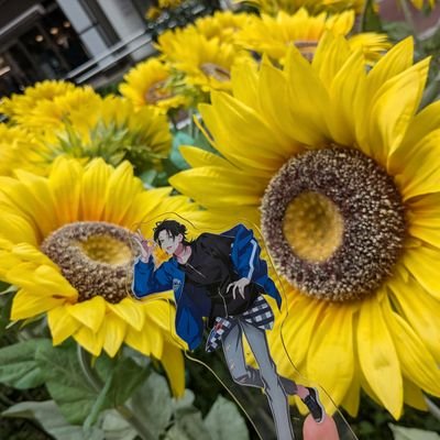 ひまわり🌻さんのプロフィール画像