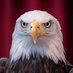 Phoenix 5 🏴☠️ (@phoenix5time) Twitter profile photo Phoenix 5 🏴☠️ (@phoenix5time) Twitter profile photo