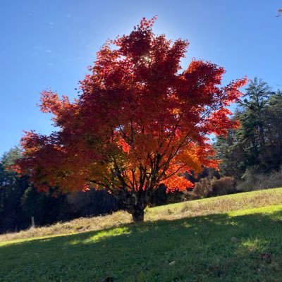 Josh48745096040's profile picture. 