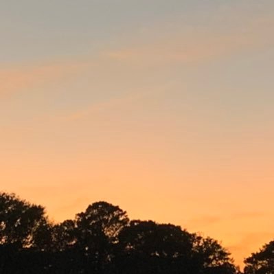 SunsunSunburn's profile picture. (currently locked and abandoned until further notice)